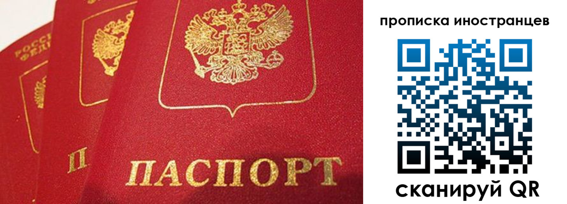 прописка для школы в Черняховске